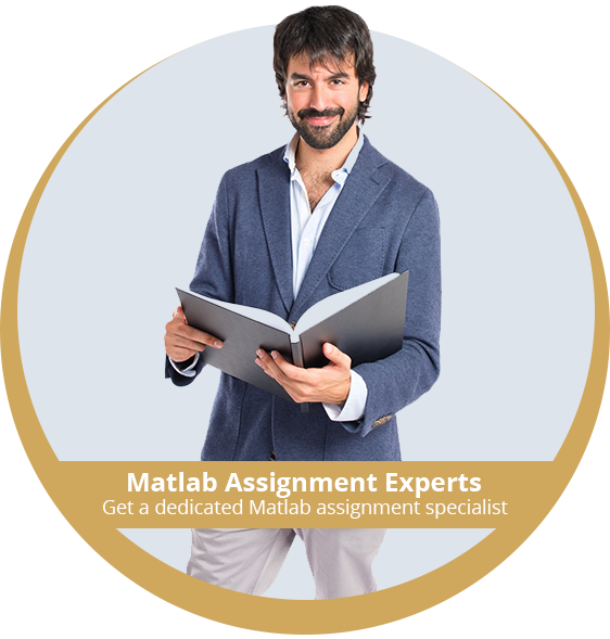 Matlab Assignment Experts